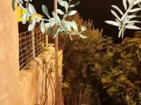 Ulica_od_Maslinate_2