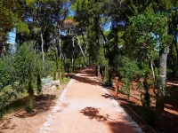 gradac_obnova_190626 (11)