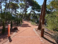 gradac_obnova_190626 (12)