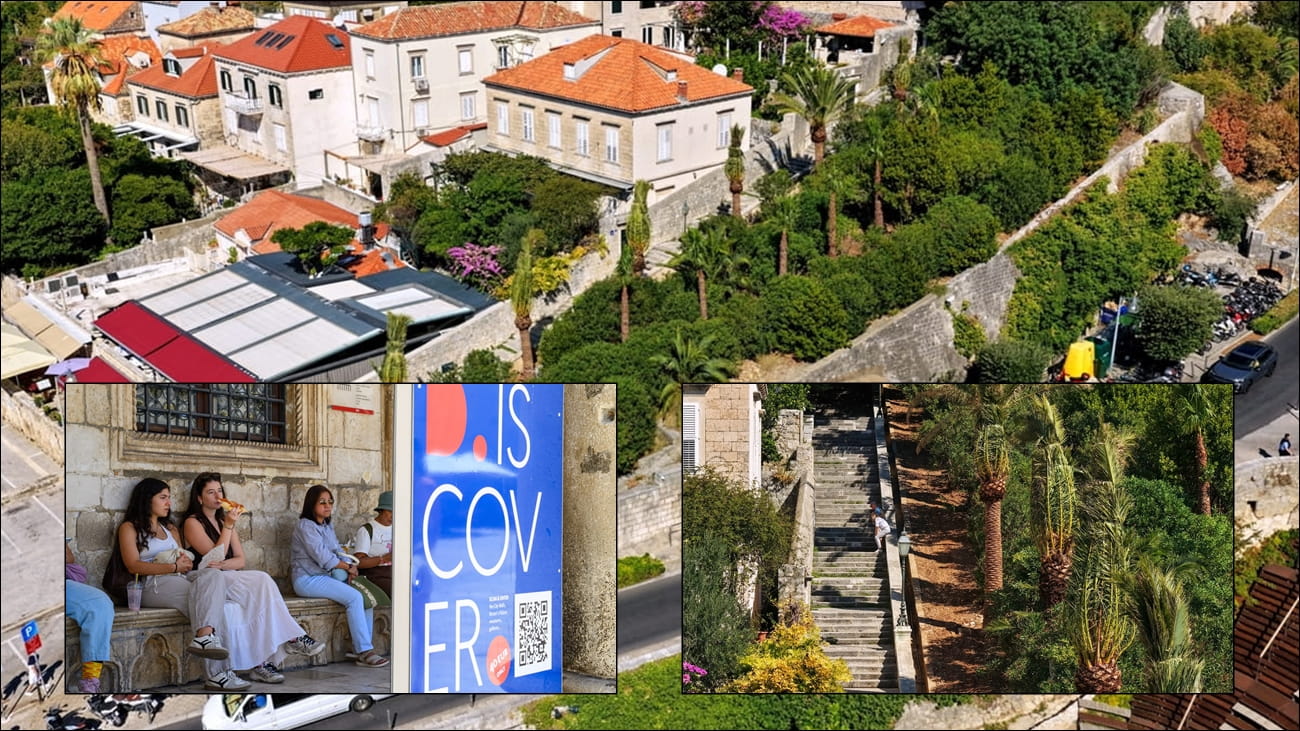 ZAVRŠENA SADNJA PALMA U ULICI UZ POSAT; DUBROVNIKPASS S REKORDNOM PRODAJOM U RUJNU