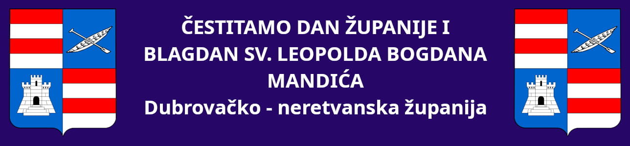dan zupanije dnz26