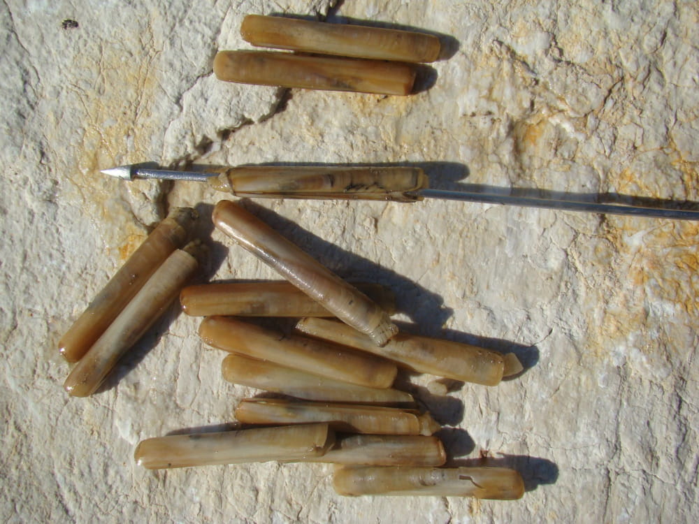 ribolov prstavci 140326 2