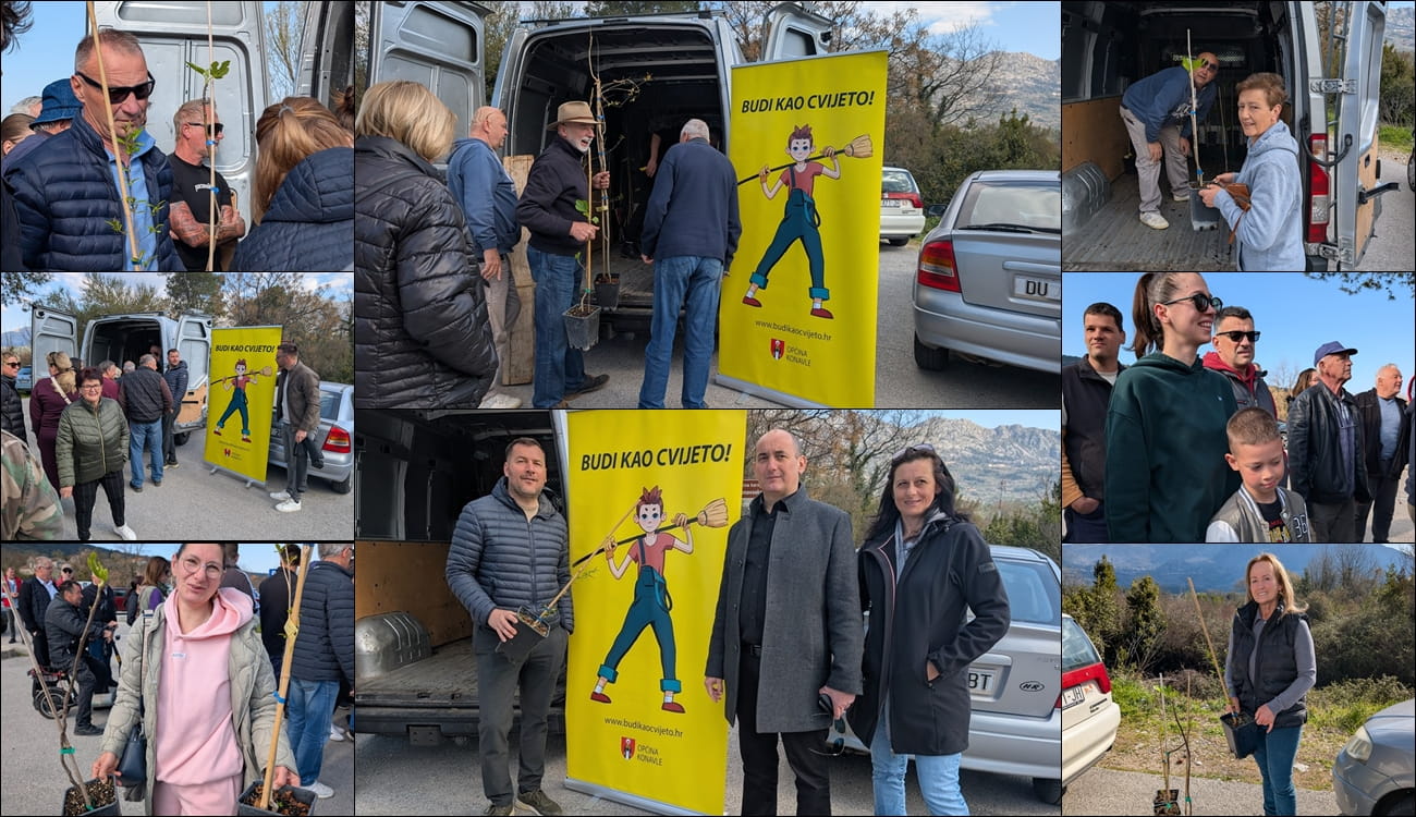 KONAVLJANI U VELIKOM BROJU DOŠLI PO SADNICE SMOKAVA I ŠIPAKA