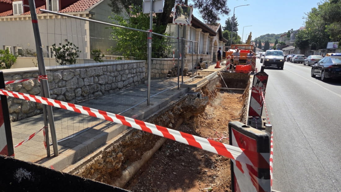 drvored vojnovic 300726 1