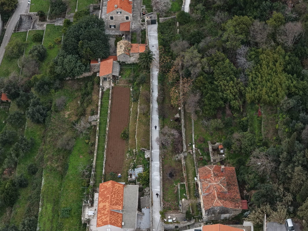 gornji kono tjedni 070326