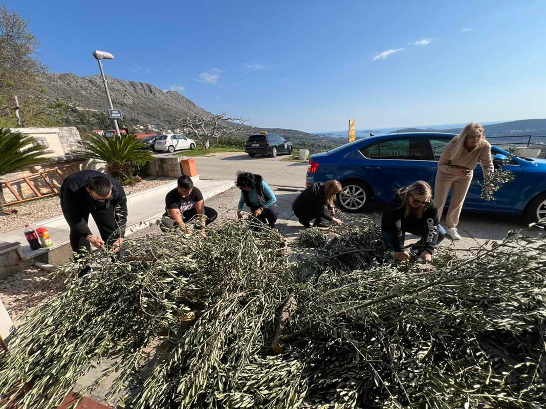 MASLINOVIM GRANČICAMA IZ ŽUPE DUBROVAČKE POSLANA PORUKA MIRA I ZAJEDNIŠTVA VUKOVARU