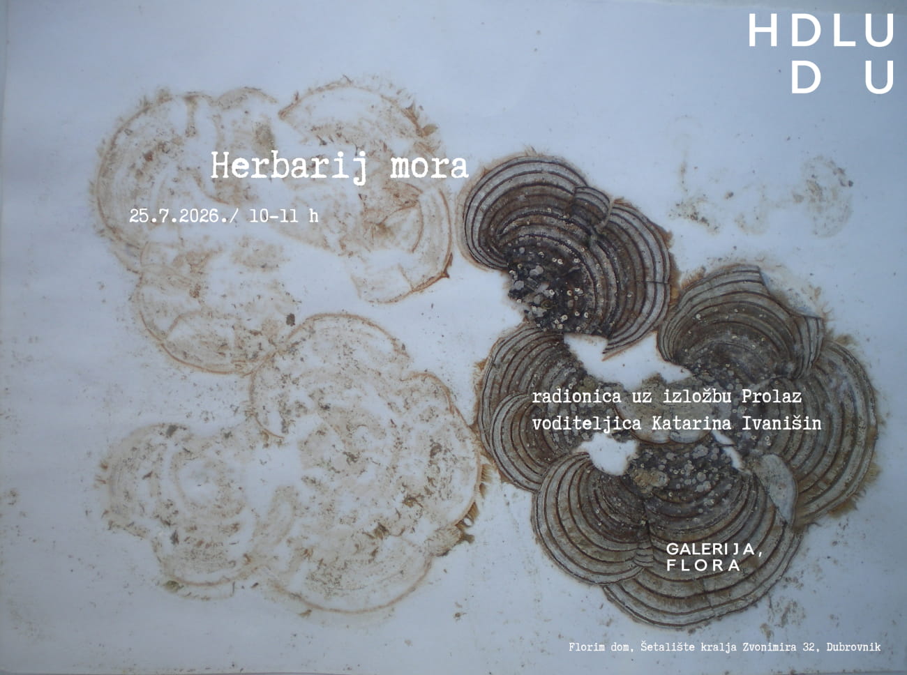 RADIONICA „HERBARIJ MORA”, PRIJAVITE SE