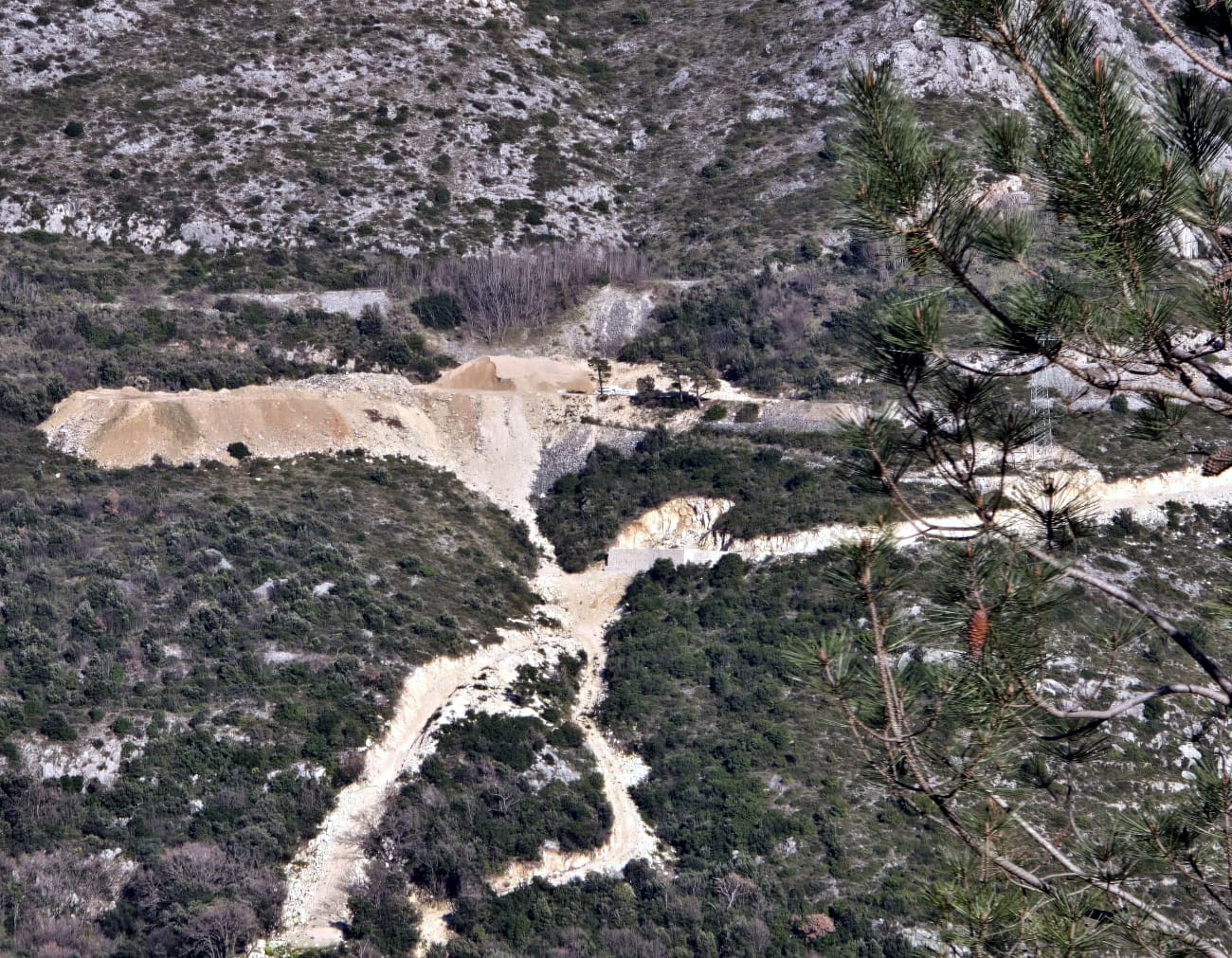 knezica sut 200926 2