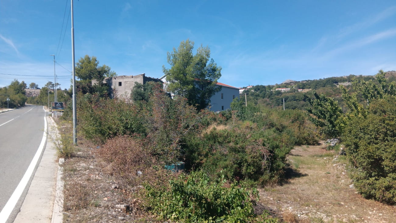 pezo pobrezje 240926