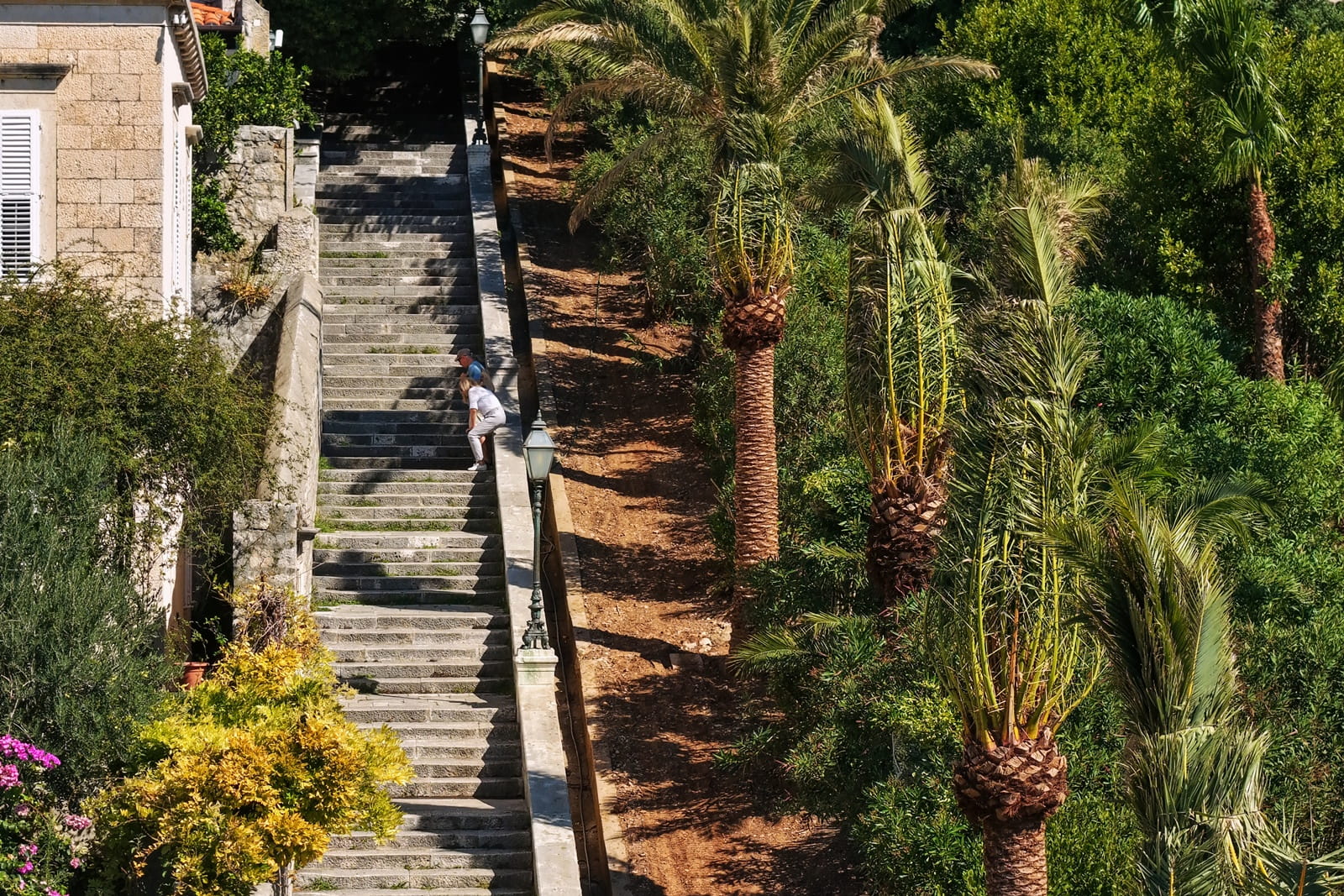 ZAVRŠENA SADNJA PALMA U ULICI UZ POSAT
