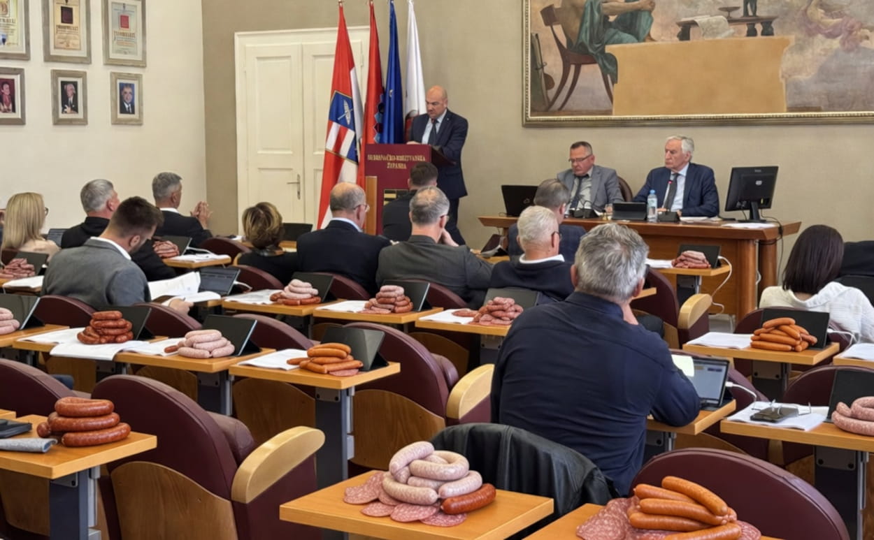 SEDMORCA MLADIH, ČETVERO IZ HDZ-A, UPALI NA „SAUSAGE PARTY”