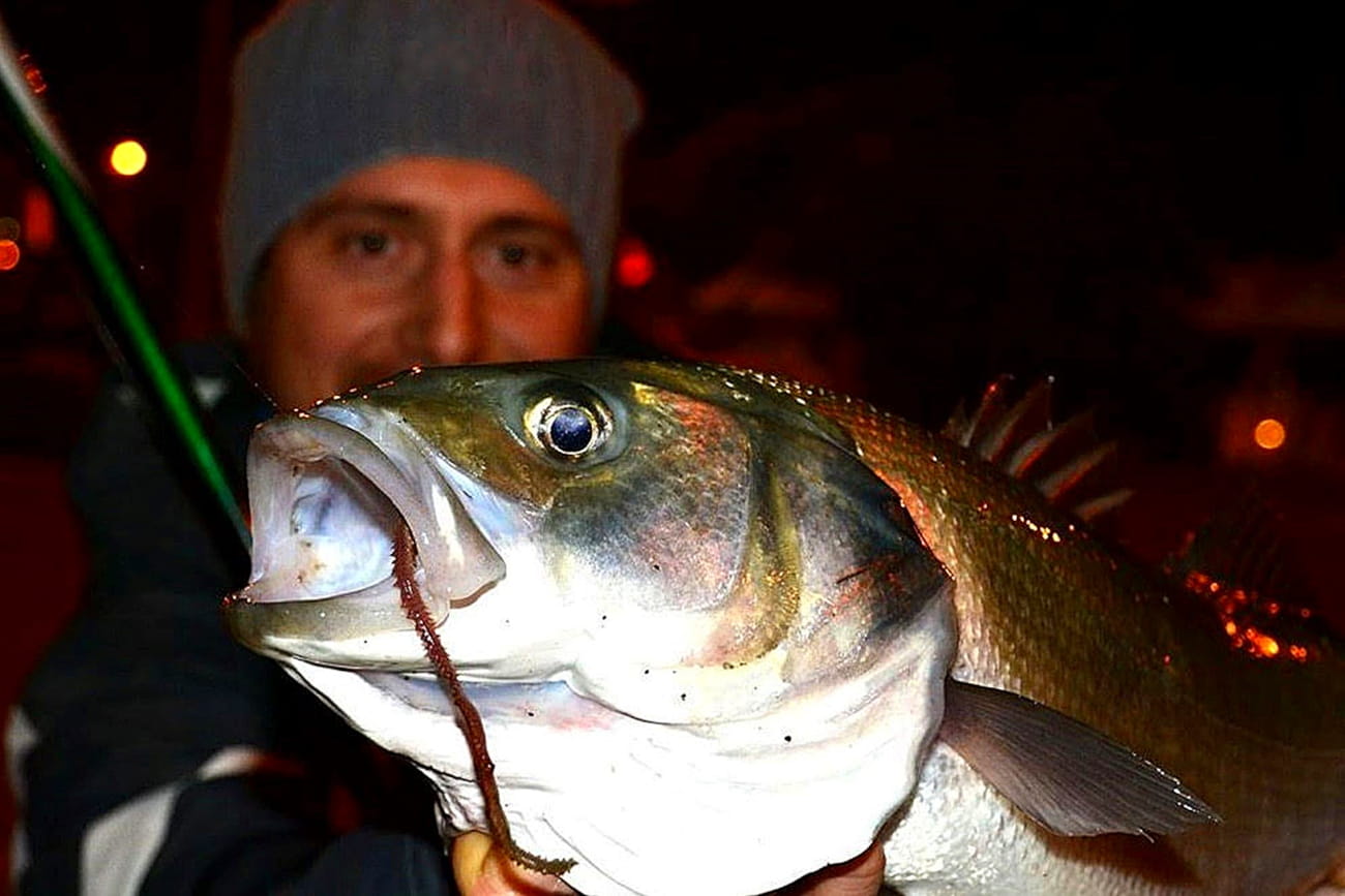 PRIRODNA JEŠKA ZA SMUDUTA