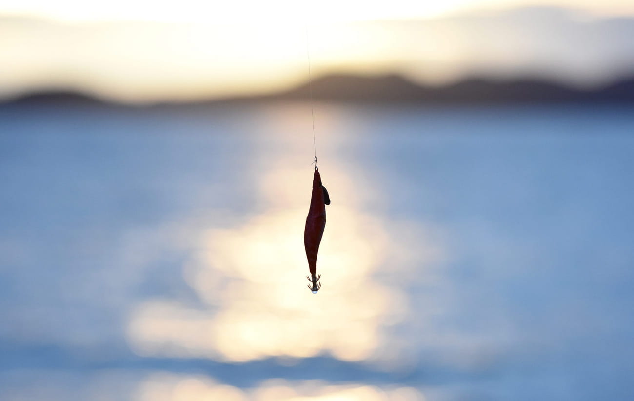 I NAJGORE VARALICE PA I OŠTEĆENE MOGU SE DOBRO ISKORISTITI