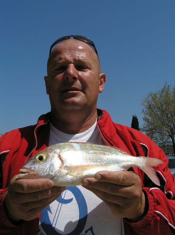 F25562arb