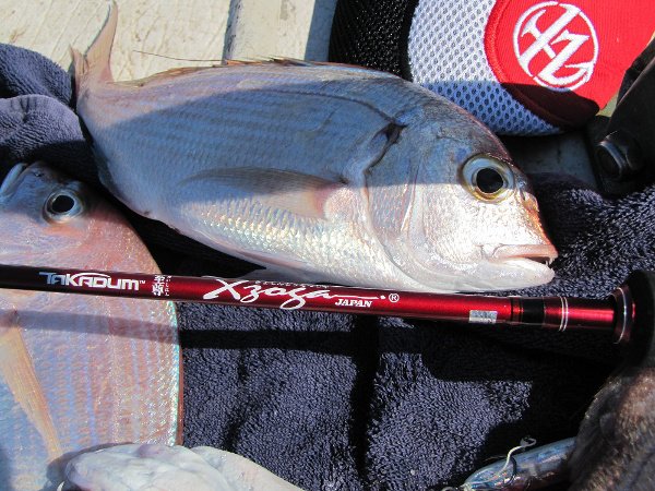 IMG 1529 X Zoga Takadum SI 6313