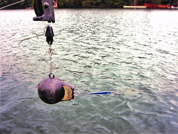 P7211 Down Rigger Rubberband