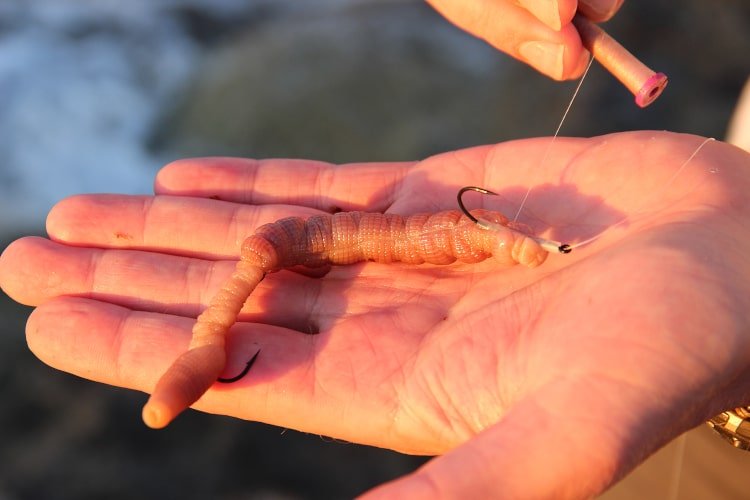 bibi mamcenje 180125 2 min