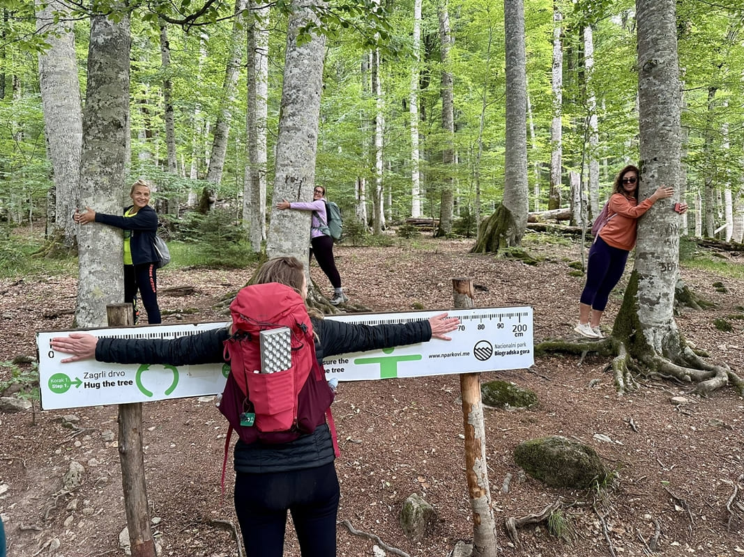 biogradska gora 090825