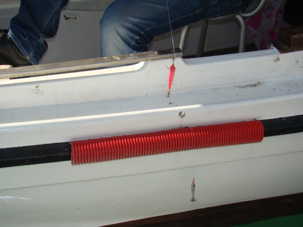 bokobranlignji1309