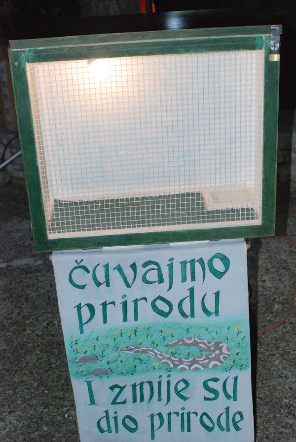 bokszmija