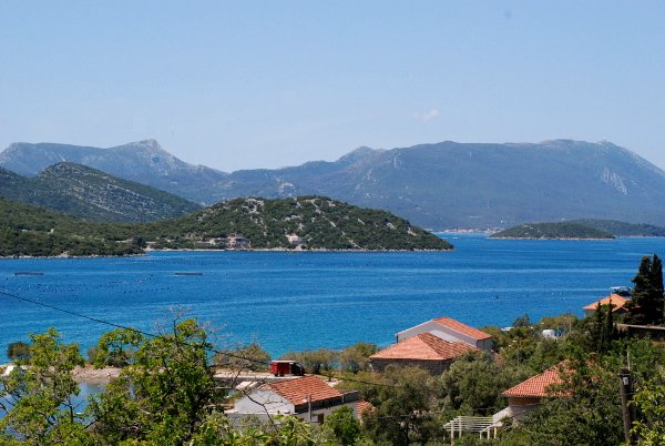 brijestapogled