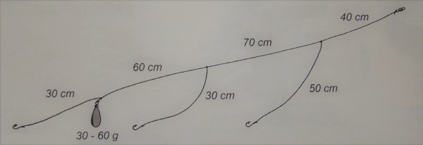 bulentingoladna