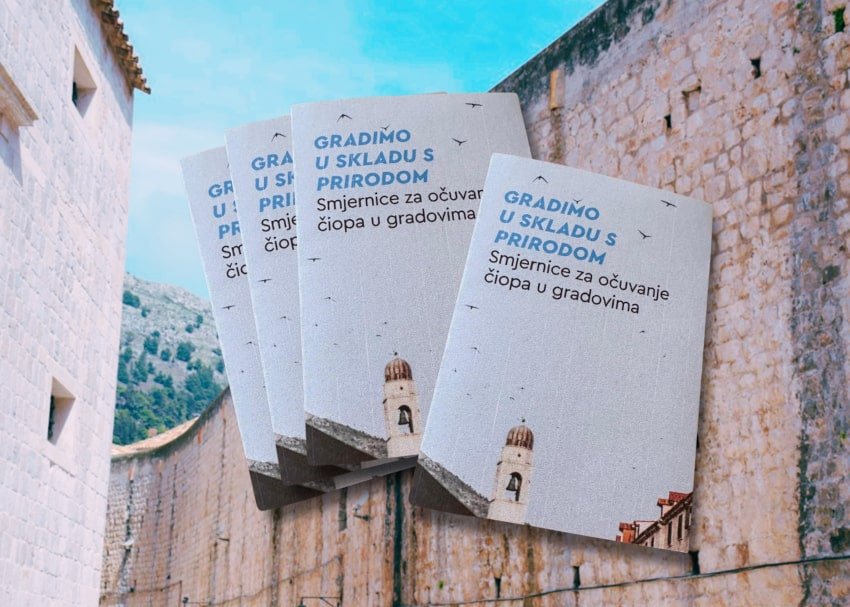 ciope brosura 011124 min