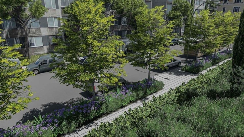 drvored tjedni161124 min