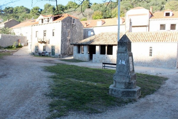dusdjurad26012019 1