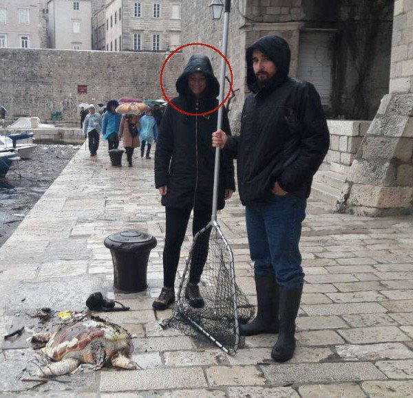 kornjacaosmijeh
