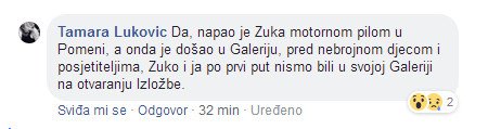 lukovic2