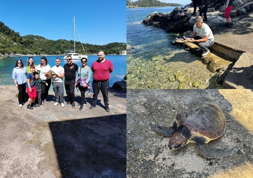 mljet kornjaca tekst 160425 min