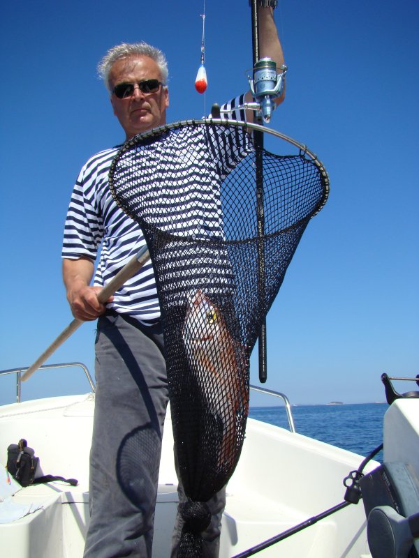 olova180322 2