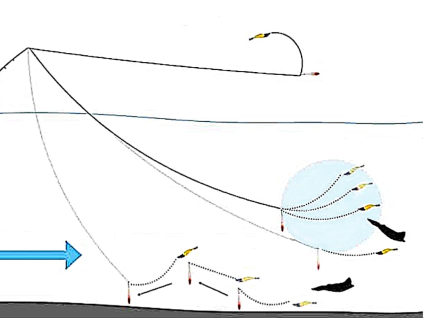 omotehnika 061225 min