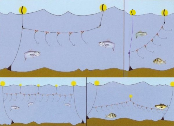 parangosmu5