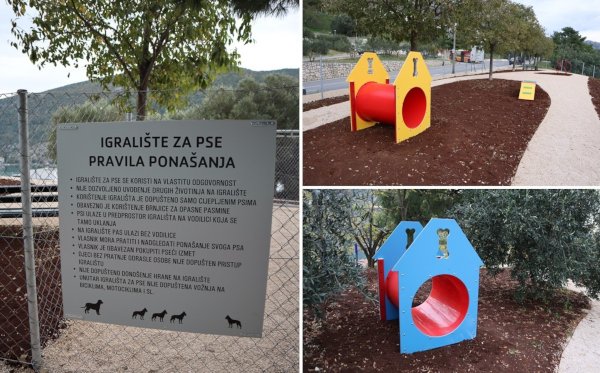 parkpsitj2811