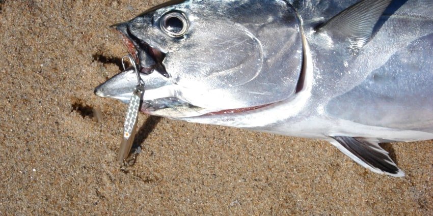 polande 190425 1 min