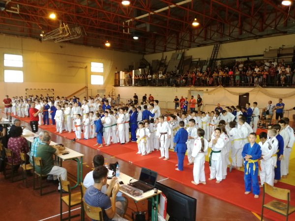 postrojavanjejudo