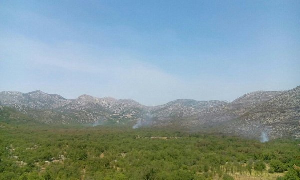 pozardbkprimorje