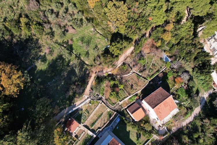 rozat staza tjedni050125 1 min