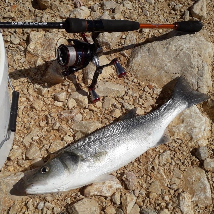 smuduti 260425 1 min