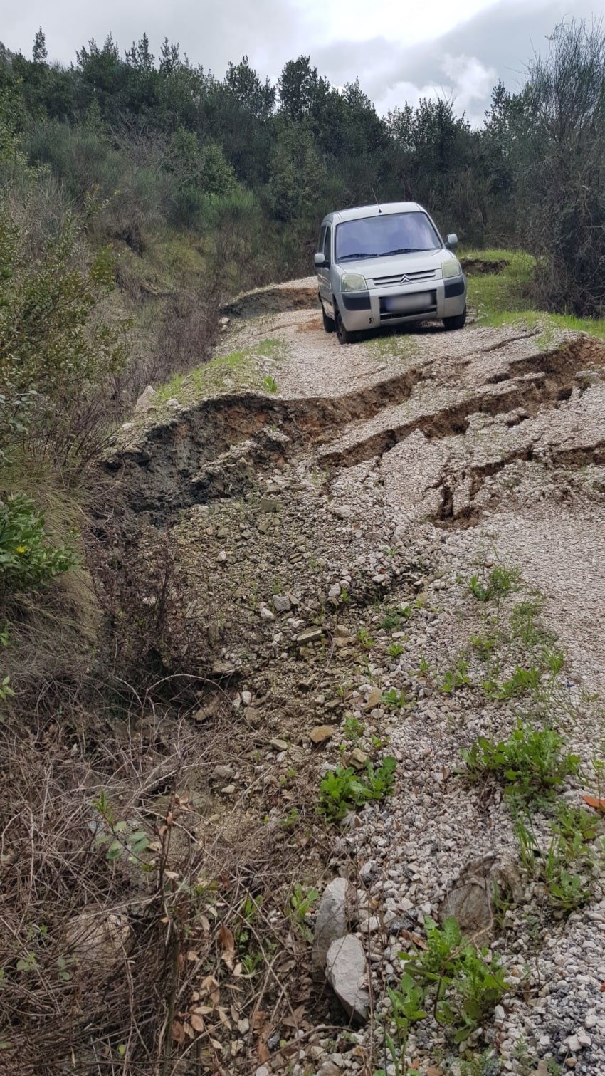 stara cajkovica 300325 2 min