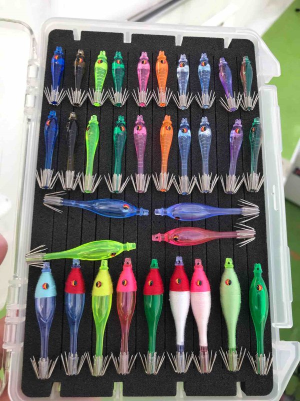 tataki lignje190822 2