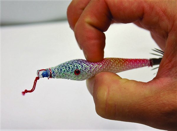 tataki lignje190822 3