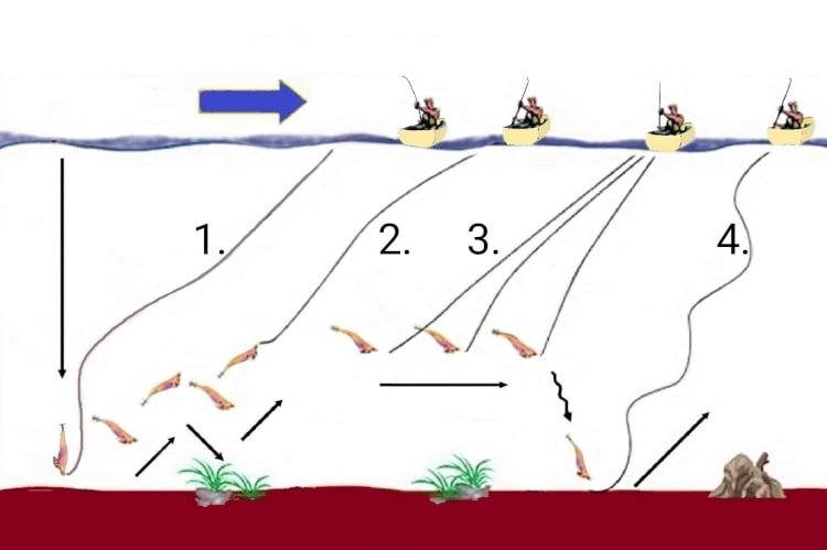 tip run 091124 3 min