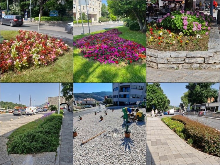 tjednivrtlar230623 min