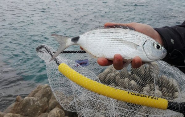ukjate010722 3