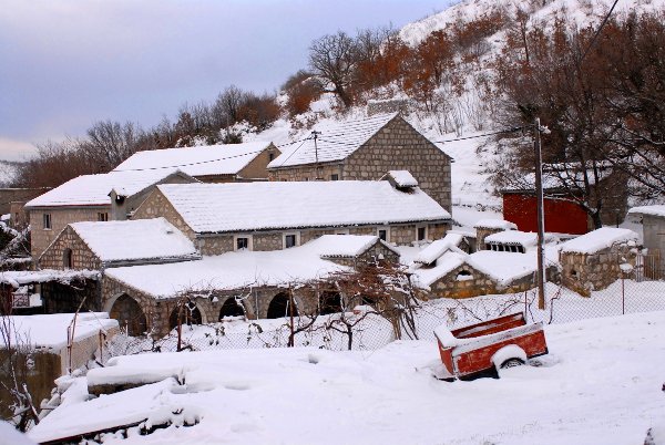veljido