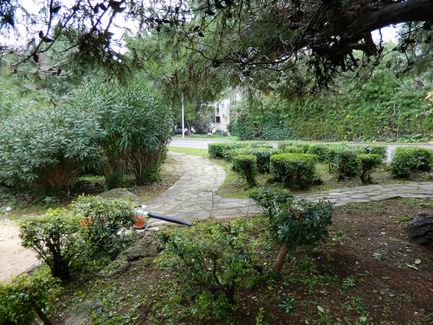 vila salvator 121222 9
