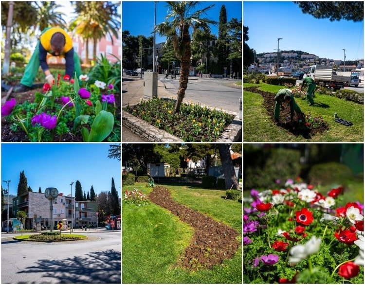 vrtlar tjednmi290324 min